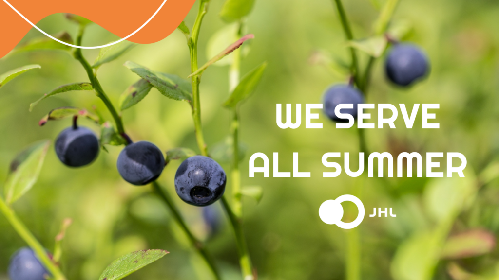 A picture with text "We serve all summer" and wild blueberries in the background.