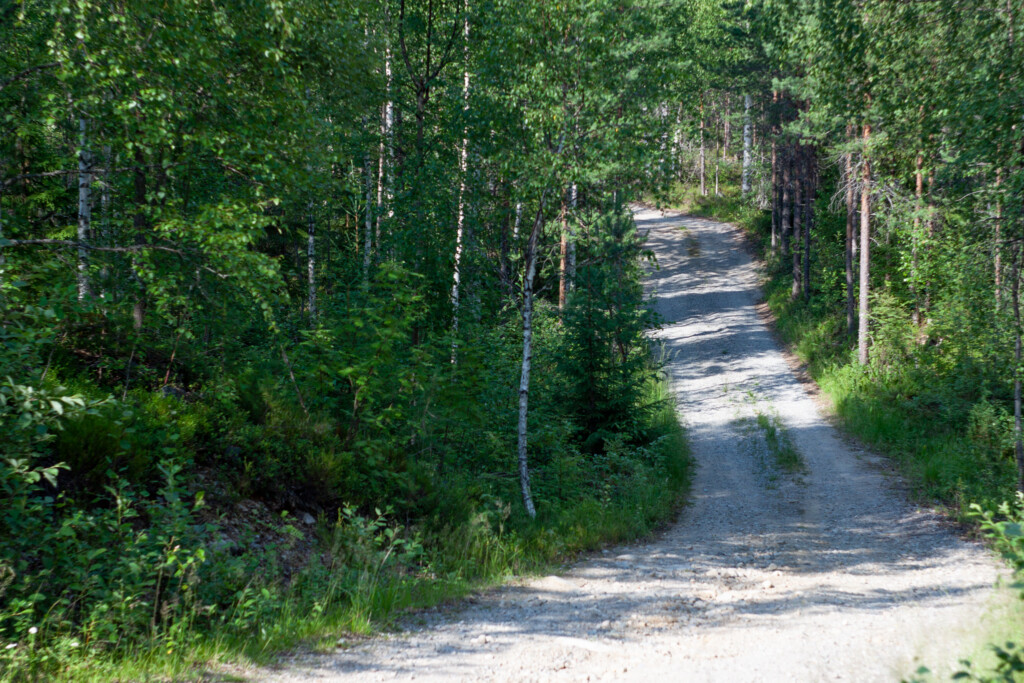 Mökkitie kesällä. Kuvituskuva. Kuvaaja: Joona Kotilainen, markkinointitoimisto Tovari, kuviasuomesta.fi